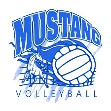 Boy's Volleyball